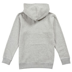 Boys' Full-Zip Hoodie,Grey Heather,large