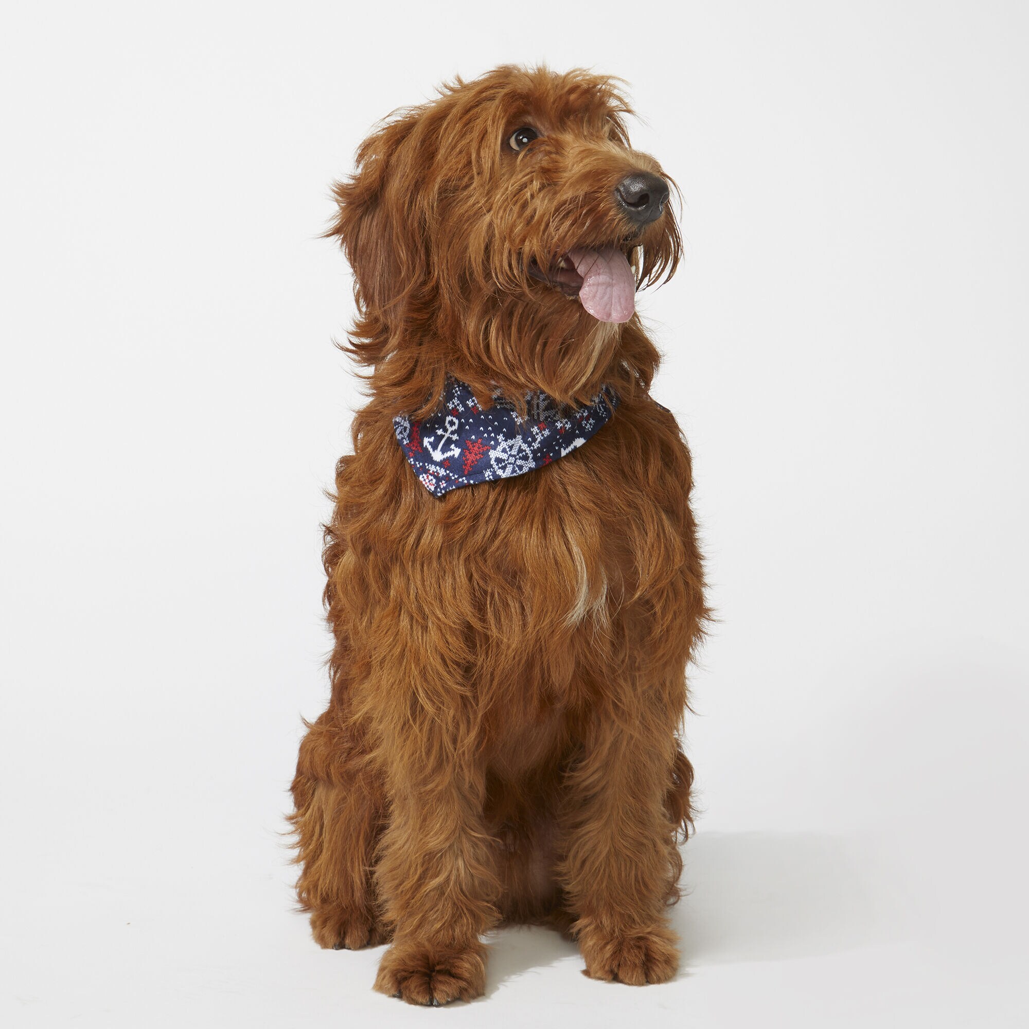 PET FAIR ISLE  BANDANA,Navy,large