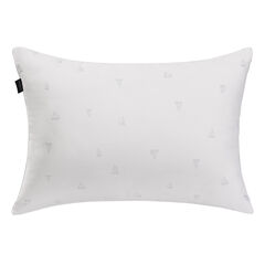 Sleep Max Sailboat Print Standard/Queen 2pc Pillows,Sea Salt,large