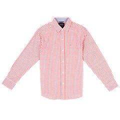 Toddler Boys' Stretch Gingham Long Sleeve Button Down (2T-4T),Reckoning Red,large