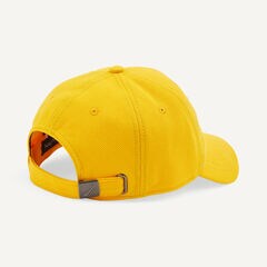 Embroidered Graphic Cap,Aspen Gold,large