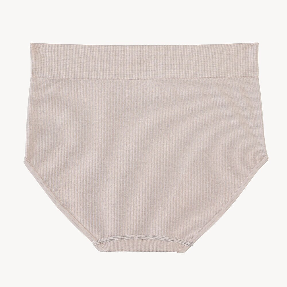 Seamless Ribbed Brief, 5-Pack,Workshirt Blue,large