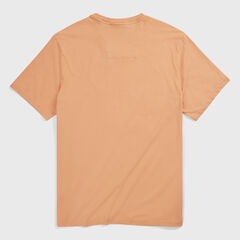 Big & Tall Short Sleeve V-Neck T-Shirt,Orange2,large