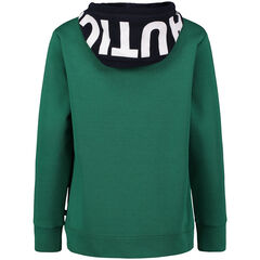 Little Boys' Logo Hoodie (4-7),Deep Forest Heather,large