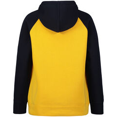 Toddler Boys' Flag Hoodie (2T-4T),Soft Yellow,large