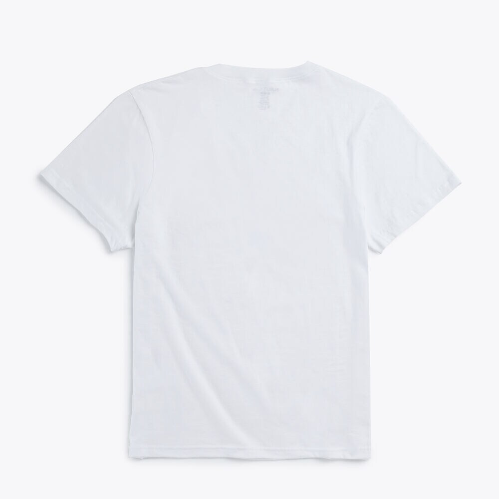 V-NECK T-SHIRT, 3-PACK,Antique White Wash,large