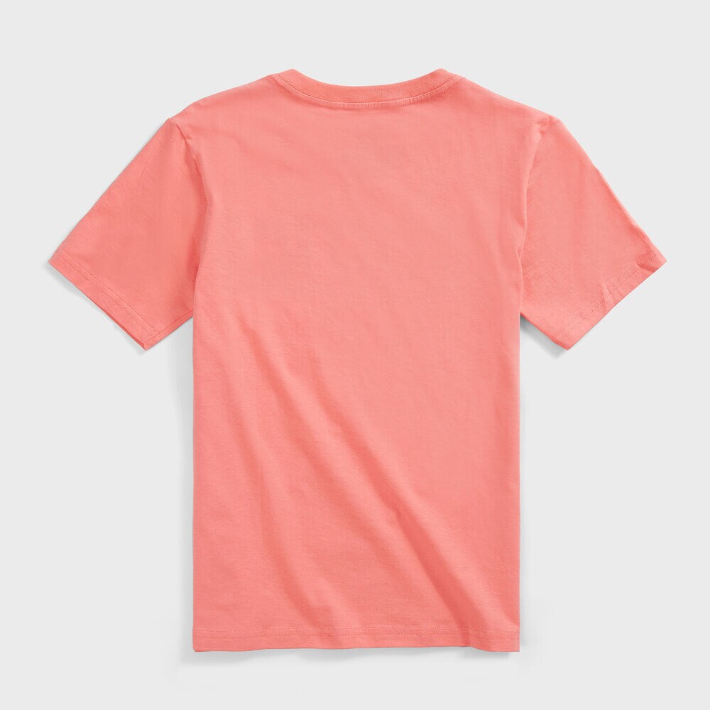 BOYS' STRIPED LOGO GRAPHIC T-SHIRT (8-20),Sugar Coral,large