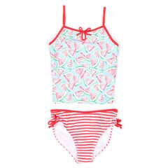 Toddler Girls' Watermelon + Striped Tankini (2T-4T),Pomegranate,large