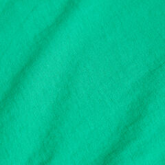 FLAG SAILING CLUB GRAPHIC T-SHIRT,Bright Green,large