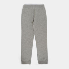 BOYS' ACTIVE SWEATPANT,Gunmetal Grey,large