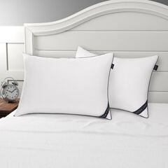 Extra Firm Standard/Queen 2pc Pillows,Antique White Wash,large