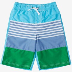  Boys' Ombre Stripe Swim Trunk (8-16),Classic Blue,large