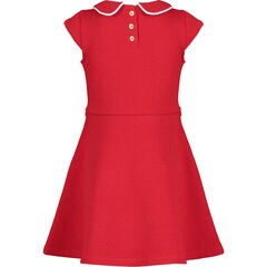 Toddler Girls' Knit Skater Dress (2T-4T),Macintosh,large