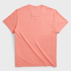 BIG & TALL PERFORMANCE V-NECK T-SHIRT,Pale Coral,large