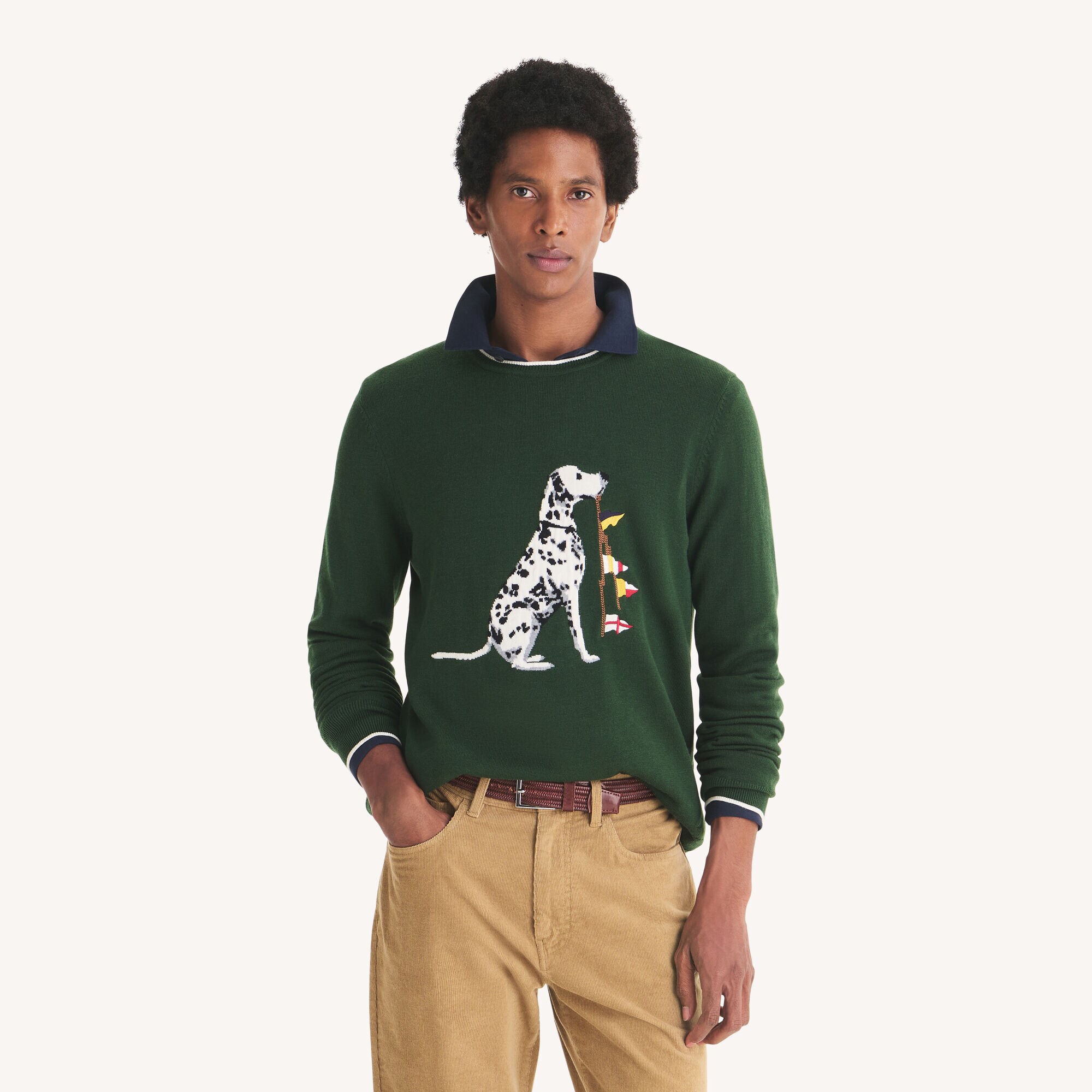Dog With Flags Sweater,Deep Fern Heather,large