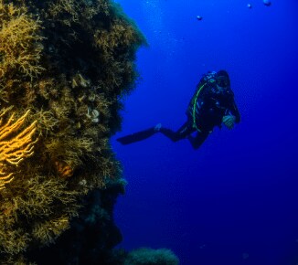 Diver